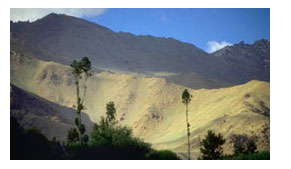 Leh Ladakh,Ladakh Tourism,Leh Ladakh Tour,Leh Ladakh Tours,Leh Ladakh Tour India