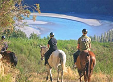 Horse Safari Tour