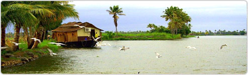 Kerala Backwaters and Karnataka Tour