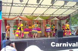 Goan Carnival Tour