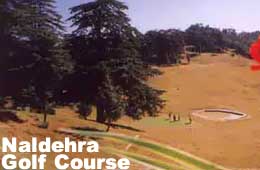 Naldehra Golf Course, Shimla