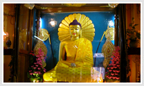 Buddhist Pilgrimage Tour