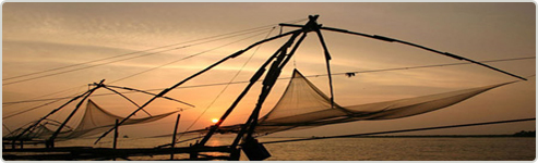 Cochin Heritage Tour