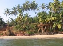 Cochin Kannur Beach Tour