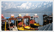 Kashmir Sojourn