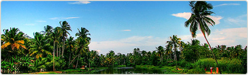 Kumarakom Culinary Tour