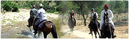 Rajasthan Horse Safari- Nawalgarh to Bikaner