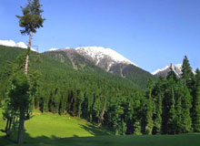 Heavenly Kashmir