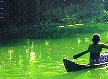 Kerala Backwater Tours