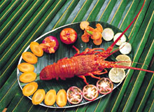 Kerala Culinary Tour