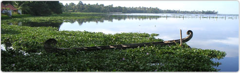 Short Escape of Kerala Itinerary