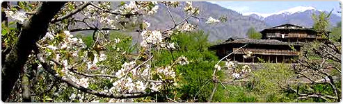 Along the Himalayan Wilderness