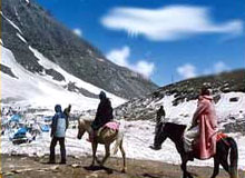Mystic Ladakh Tour