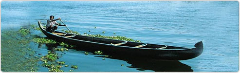 Chennai Periyar Tour