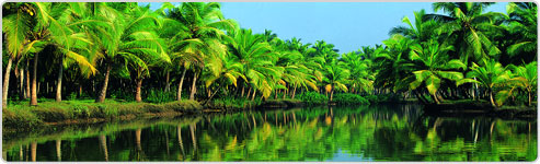 Kerala Tour Package