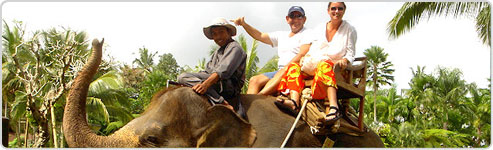 Elephant Safari in India