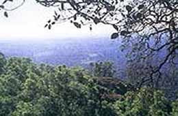 Tour to Mercara