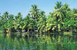 Tours to Alappuzha 