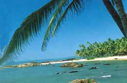 Tours to Kannur 