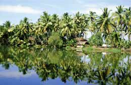 Tours to Kumarakom