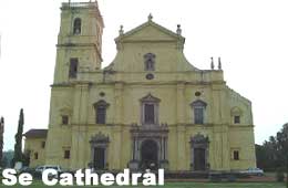 Se Cathedral