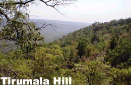 Tirumala Hill