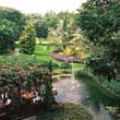 View from Balcony, Oberoi Hotel Bangalore