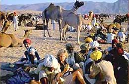 Tour to Pushkar Fair