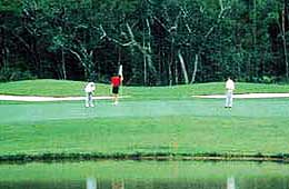 Golf Tours India