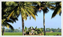 Beautiful Kerala