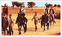 Rajasthan Horse Safari- Luni to Balotra