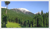 Discover Kashmir