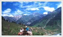 Exotic Kashmir