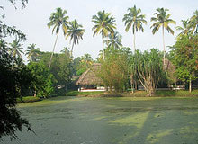 Kerala with Exotic Goa tour