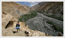 Ladakh Annual Festival Tour