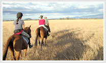 Rajasthan Horse Safari- Shekhawati to Salasar