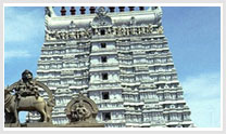 South India Temple Tour