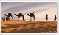Tour Itinerary of Rajasthan