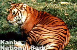 Kanha National Park