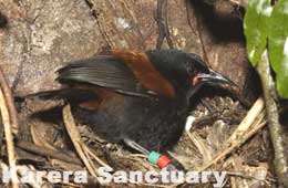 Karera Wildlife Sanctuary
