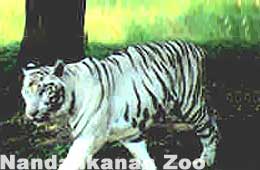 Nandankanan National Park