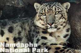 Namdapha National Park 