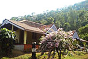 Bel Home Homestay