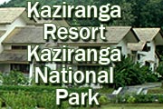 Kaziranga Resort, Kaziranga National Park 