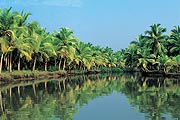 Kerala Backwaters